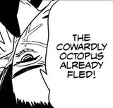 octo