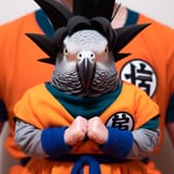 _e9e6f77d-33e1-44f5-9fcb-56792121879b