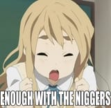 niggers