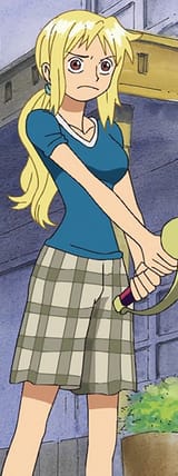 Silk_Anime_Infobox