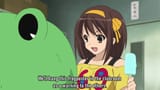 frog