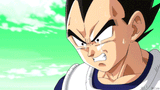 Vegeta-pleure