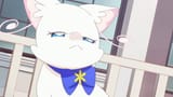 [Serenae] Wonderful Precure! - 08 (720p).mkv_snapshot_11.00_[2024.03.24_10.27.45]