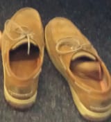 shoe