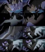Fllay09