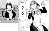 Soremachi cats
