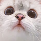 1628385161900