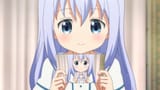 Chino_6927
