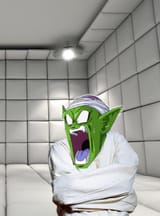 SCHIZOccolo2