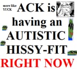 autistic hissy-fit