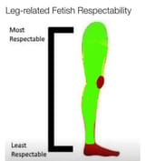 leg