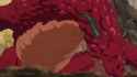 1707737997697_thumb.jpg