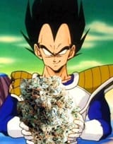 weedgeta