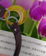 ep 12 - 14