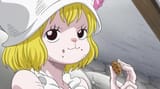 smug crumbly bun