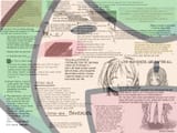 Ume_Sensei
