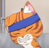 gomen-cat_face