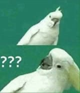 1713959859675449