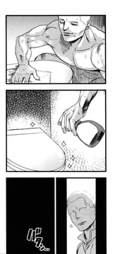 toiletcleaning