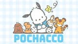 POCHACCO-1200-2024