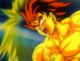 FSSJ