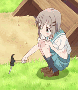 Aoi hammer