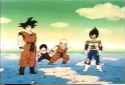 Gokubro_thumb.jpg