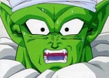 Piccolo stare 2
