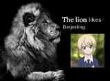 the lion likes darjeeling