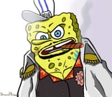 spongekainu