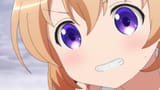 cocoa frustrated