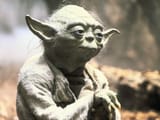 yodacrop