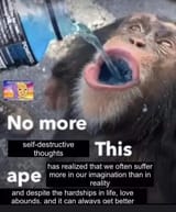 1725034898794444