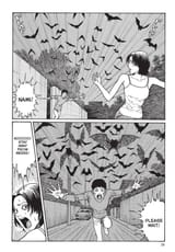 smashed-026