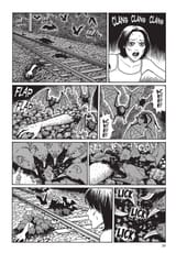 smashed-028