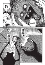 smashed-040
