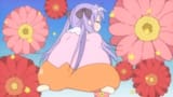 kogomi