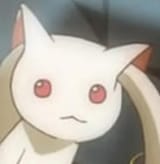 no