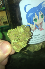 konataweed
