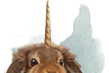 Almiraj