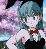 Bulmabunnysuit