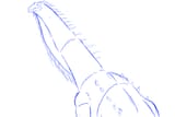 rabbits soon to be added