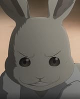Haru