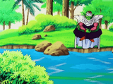 wise and green