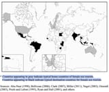 Female Sex Tourist Destinations