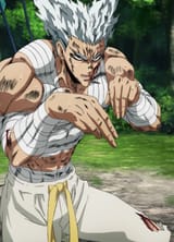 Garou_Animesdfsdf