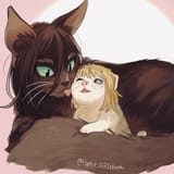 FNnA914XoAMqQHS.jpg_small