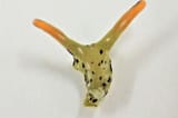 theseseaslug