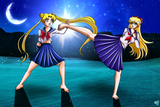 fight!