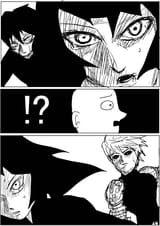 48 (11)